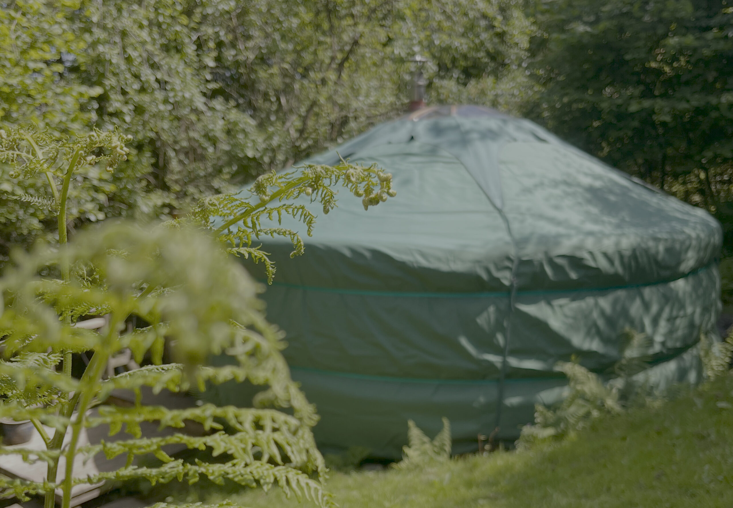 yurt nestled